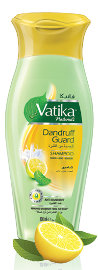 Dandruff Guard Shampoo Dandruff Guard Shampoo
